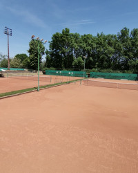 Тенис Клуб Враца 2013