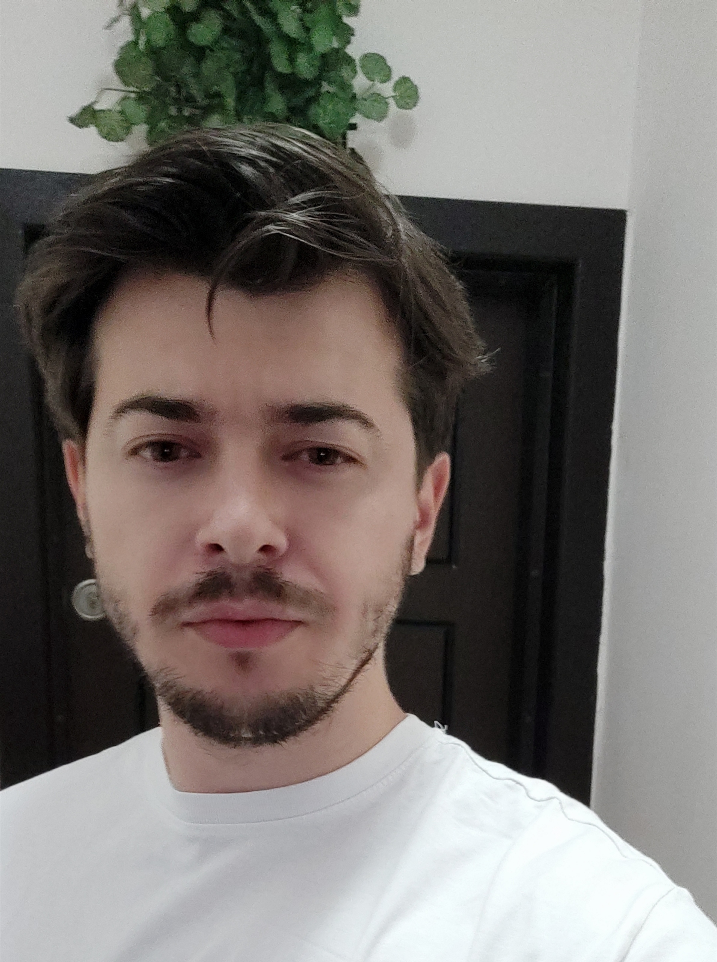 Джиги